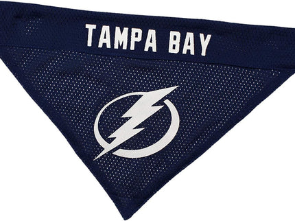 Pets First NHL New York Rangers Bandana for Dogs & Cats, Small/Medium. - Cute & Stylish Bandana! The Perfect Hockey Fan Scarf Bandana, Great for Birthdays Or Any Party!