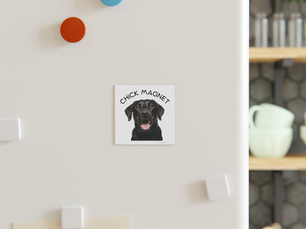 Chick Magnet - Black Labrador Retriever / Mature - Square Magnet