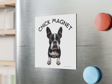 Chick Magnet - Boston Terrier - Square Magnet