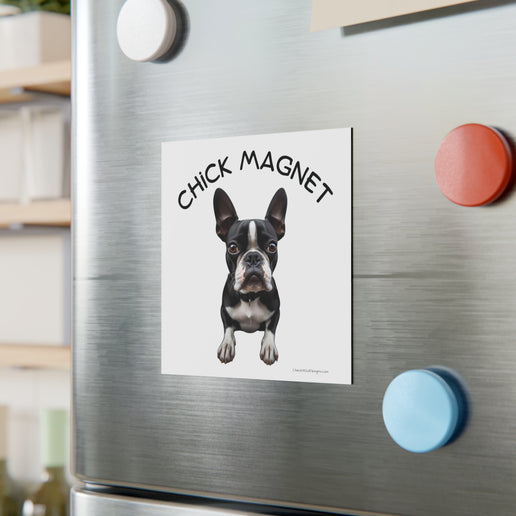 Chick Magnet - Boston Terrier - Square Magnet