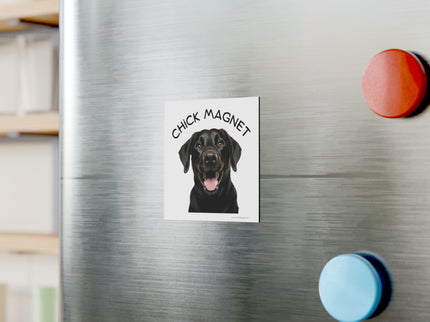 Chick Magnet - Black Labrador Retriever / Mature - Square Magnet