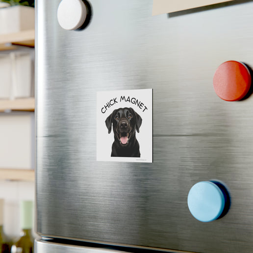 Chick Magnet - Black Labrador Retriever / Mature - Square Magnet