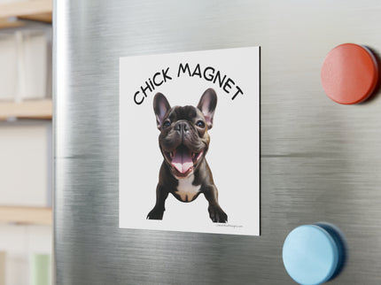 Chick Magnet -  French Bulldog (b/w)- Square Magnet