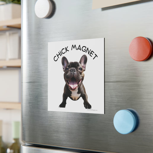 Chick Magnet -  French Bulldog (b/w)- Square Magnet