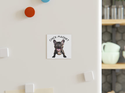 Chick Magnet -  French Bulldog (b/w)- Square Magnet