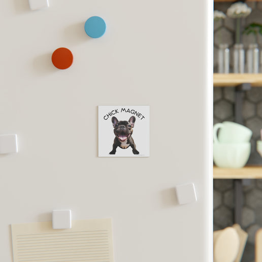 Chick Magnet -  French Bulldog (b/w)- Square Magnet