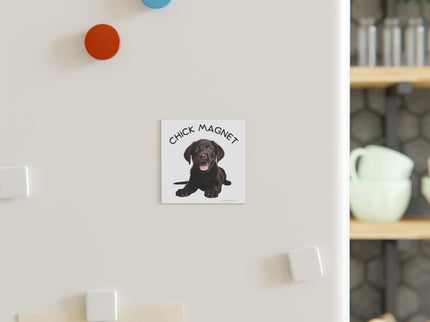 Chick Magnet - Black Labrador Retriever / Puppy - Square Magnet