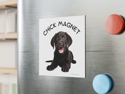 Chick Magnet - Black Labrador Retriever / Puppy - Square Magnet