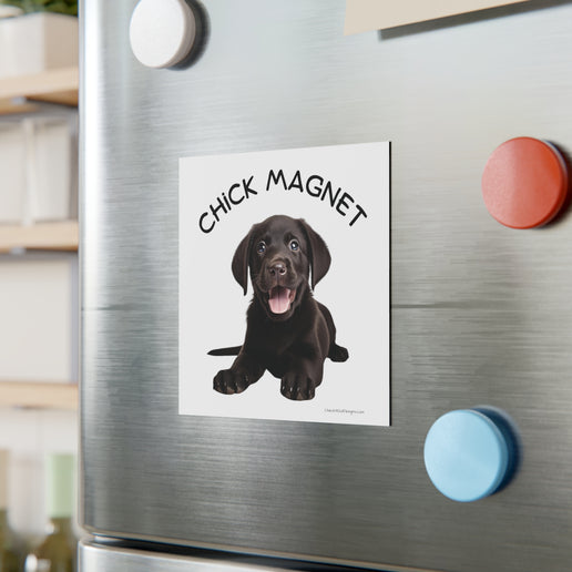 Chick Magnet - Black Labrador Retriever / Puppy - Square Magnet