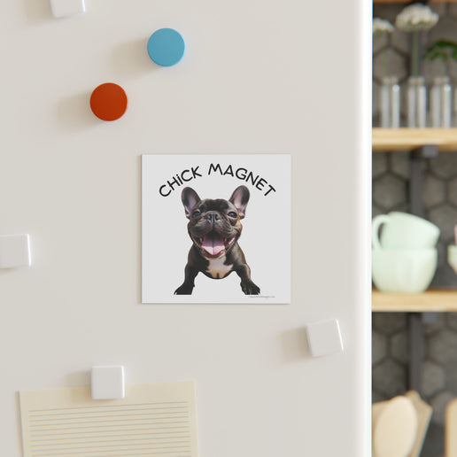 Chick Magnet -  French Bulldog (b/w)- Square Magnet