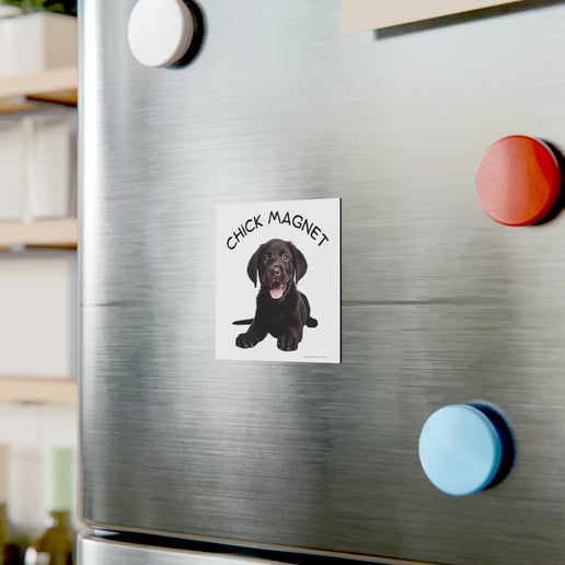 Chick Magnet - Black Labrador Retriever / Puppy - Square Magnet