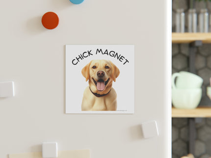 Chick Magnet -  Labrador Retriever - Square Magnet