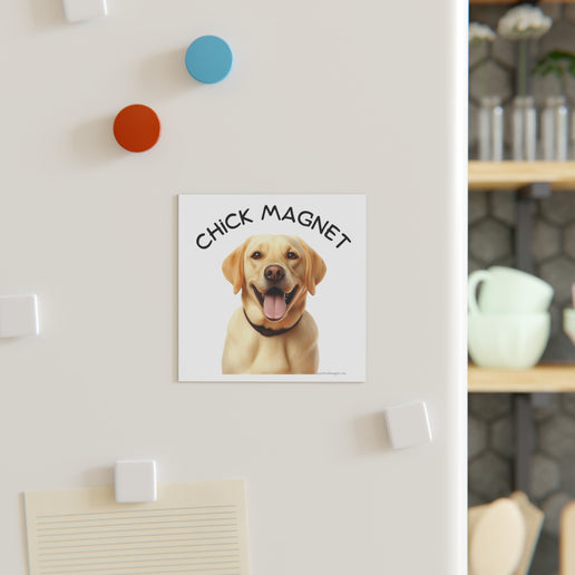 Chick Magnet -  Labrador Retriever - Square Magnet