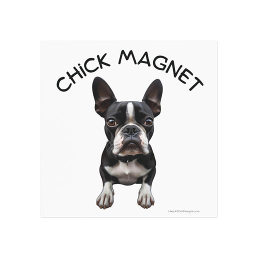 Chick Magnet - Boston Terrier - Square Magnet