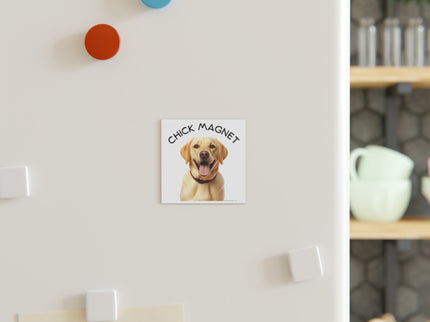 Chick Magnet -  Labrador Retriever - Square Magnet