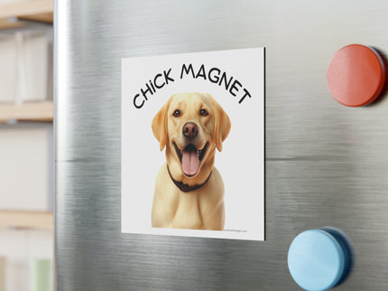 Chick Magnet -  Labrador Retriever - Square Magnet