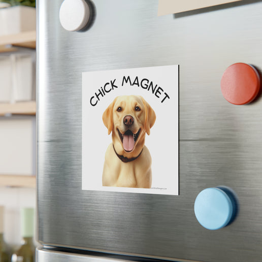 Chick Magnet -  Labrador Retriever - Square Magnet