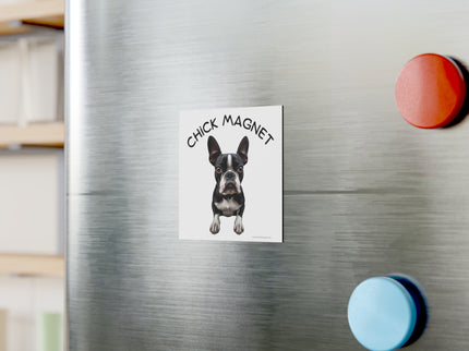 Chick Magnet - Boston Terrier - Square Magnet