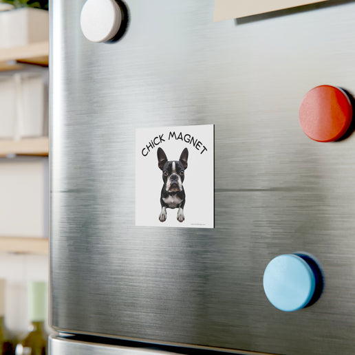 Chick Magnet - Boston Terrier - Square Magnet