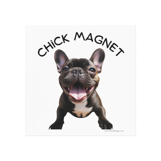 Chick Magnet -  French Bulldog (b/w)- Square Magnet