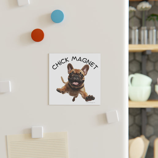 Chick Magnet -  French Bulldog - Square Magnet