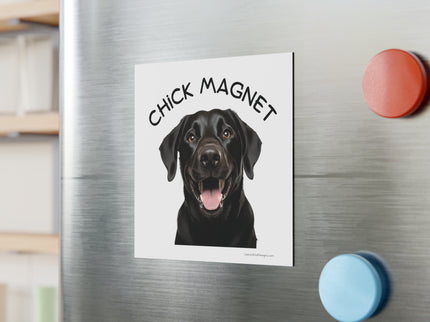 Chick Magnet - Black Labrador Retriever / Mature - Square Magnet