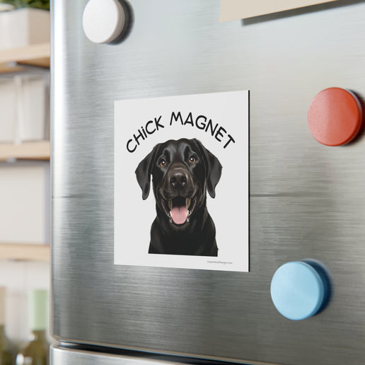 Chick Magnet - Black Labrador Retriever / Mature - Square Magnet