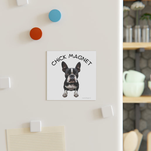 Chick Magnet - Boston Terrier - Square Magnet