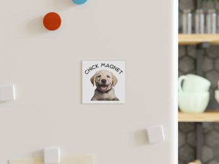 Chick Magnet -  Labrador Retriever / Puppy - Square Magnet