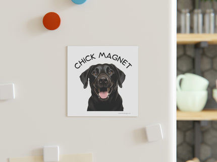 Chick Magnet - Black Labrador Retriever / Mature - Square Magnet