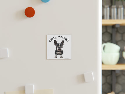 Chick Magnet - Boston Terrier - Square Magnet