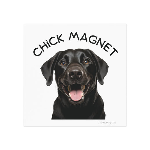 Chick Magnet - Black Labrador Retriever / Mature - Square Magnet