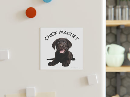 Chick Magnet - Black Labrador Retriever / Puppy - Square Magnet