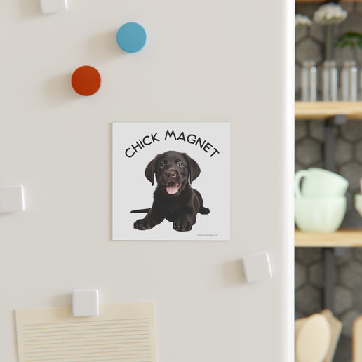 Chick Magnet - Black Labrador Retriever / Puppy - Square Magnet