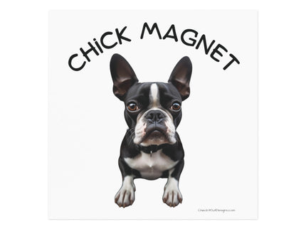 Chick Magnet - Boston Terrier - Square Magnet