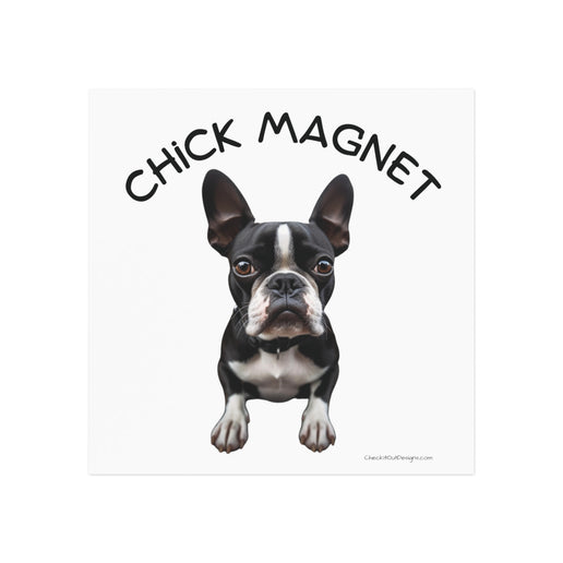 Chick Magnet - Boston Terrier - Square Magnet