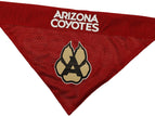 Arizona Coyotes
