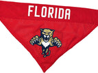 Florida Panthers