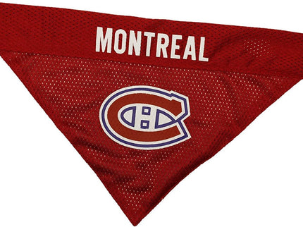 Pets First NHL New York Rangers Bandana for Dogs & Cats, Small/Medium. - Cute & Stylish Bandana! The Perfect Hockey Fan Scarf Bandana, Great for Birthdays Or Any Party!
