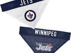 Winnipeg Jets