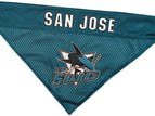 San Jose Sharks